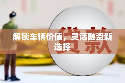阿巴嘎旗解锁车辆价值，灵活融资新选择