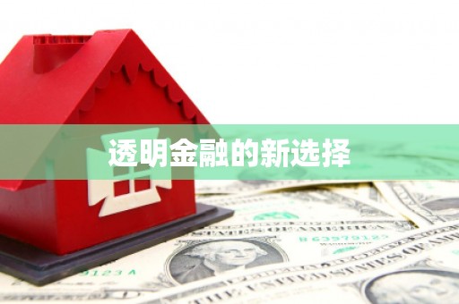 阿巴嘎旗透明金融的新选择