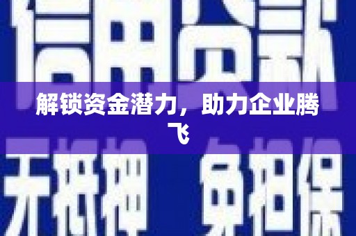 阿巴嘎旗解锁资金潜力，助力企业腾飞