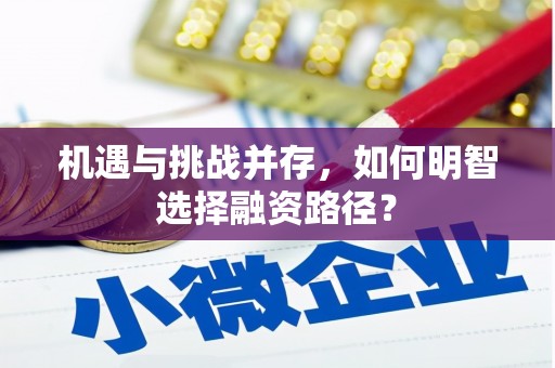阿巴嘎旗机遇与挑战并存，如何明智选择融资路径？