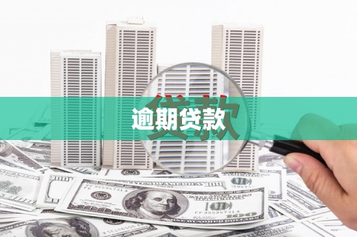 阿巴嘎旗逾期贷款