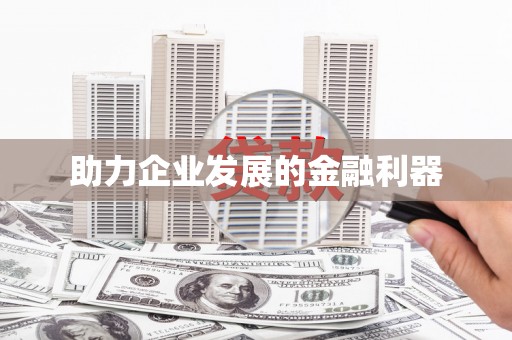 阿巴嘎旗助力企业发展的金融利器