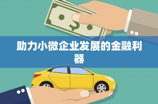 阿巴嘎旗助力小微企业发展的金融利器