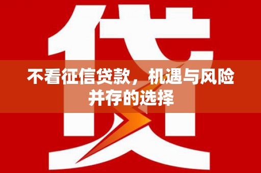 阿巴嘎旗不看征信贷款，机遇与风险并存的选择