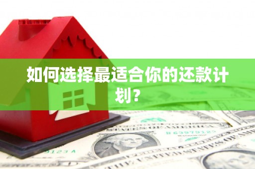 阿巴嘎旗如何选择最适合你的还款计划？