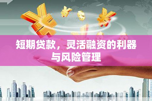 阿巴嘎旗短期贷款，灵活融资的利器与风险管理