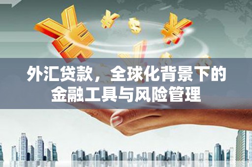 阿巴嘎旗外汇贷款，全球化背景下的金融工具与风险管理