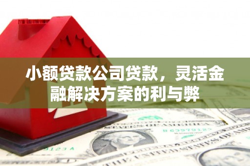 阿巴嘎旗小额贷款公司贷款，灵活金融解决方案的利与弊